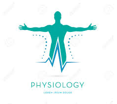 Did your doctor recommend physical therapy? Man S Silhouette With Opes Arms Hear Rate Line Vector Logo Icon Health Physical Therapy Logo Template Royalty Free Cliparts Vectors And Stock Illustration Image 109823847