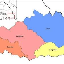 Image result for Memecylon rovumense