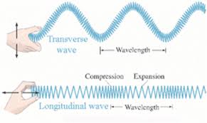 By matching up those characteristics, it is possible to render longitudinal. How To Tell If A Wave Is Longitudinal Or Transverse