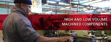 Image result for Selago dinteri