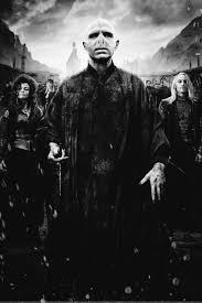 You Know Who He Who Must Not Be Named The Dark Lord Lord Voldamort Les Animaux Fantastiques Animaux Fantastiques Voldemort