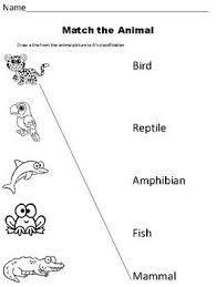 Animal Classification Sorting Activity Stem Activity Worksheet Bundle Animal Classification Sorting Activities Animal Classification Worksheet