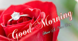Each morning is a fresh start in our lives and starting it with these lovely images of roses and flowers can set the right tone for the day. 100 Good Morning With Rose Download Latest Images Kuch Khas Tech