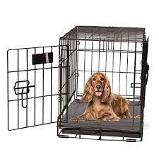 Do dog training pads work? 7 Best Heated Dog Beds 2021 Reviews Buying Guide Safe Options