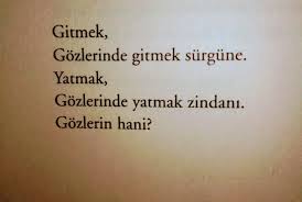 Sevda Yavuz Adli Kullanicinin Sairler Siirler Sozler Panosundaki Pin Siir Sair