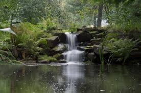 Kleiner Wasserfall Im Botansichen Garten Deep Resonance