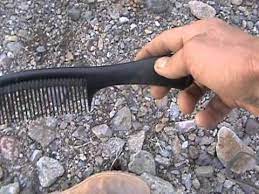 Removing cholla cactus requires a quick and steady hand. Easy Way How To Remove Cholla Cactus From Your Leg How To Remove Easy Legs