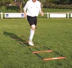 Patrick Speed Ladders