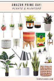 The Best Home Deals From Amazon Prime Day Home Decor In 2020 Amazon Decor Amazon Home Decor Amazon Prime Day