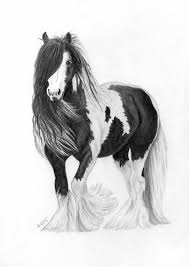 Gypsy Vanner Drawing By Carol Doran Choose your favorite gypsy horse drawings from millions of available designs. gypsy vanner by carol doran