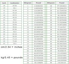 belgian malinois puppy growth chart best picture of chart