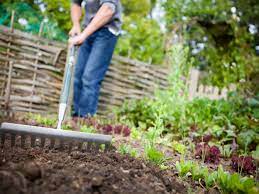 Check spelling or type a new query. How To Improve Garden Soil With Amendments