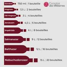 Maybe you would like to learn more about one of these? Tailles Et Contenances Des Bouteilles De Vin Jeroboam Salmanazar