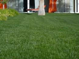 The fixthephoto designer team created a collection of realistic and diverse grass textures for all possible situations, allowing you to learn how to make grass green in photoshop and create an endless field or a tidy lawn in real estate photos. Use Zoysia Grass For A Low Maintenance Lawn Gardening Channel