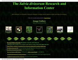 Directed by phil lord, christopher miller. The Salvia Divinorum Research And Information Center Shroomery