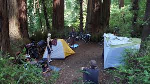 Taylor state park is the wealth of food choices available on the way to and from the park, especially along sir francis drake boulevard. 2011 Bike Camping At Samuel P Taylor State Park Plattyjo