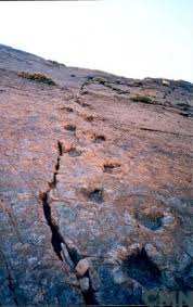 Cercanas al sector poblado de las termas del flaco, se encuentran las huellas de dinosaurios, estampadas en la roca sólida de la montaña y a una altura cercana a los 1.700 metros. Sitio Donde Se Conservan Huellas De Animales Extinguidos En El Lugar Denominado Termas Del Flaco Consejo De Monumentos Nacionales De Chile