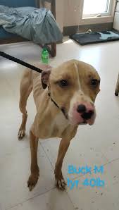 Big thanks to Deb and Larry Heffner for the great donations .. our fur  babies love it.. 🐶🐱