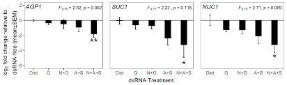 Crop and pest management guidelines. Insects Free Full Text Evaluation Of Rna Interference For Control Of The Grape Mealybug Pseudococcus Maritimus Hemiptera Pseudococcidae Html