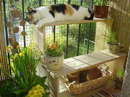 Cat Friendly Balcony Amusing Safe Decoration Ideas Balcony Decoration Eco Friendly Garden Ideas Cat Patio Cat Proof Balcony Cat Room