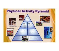 Physical Activity Pyramid Exercise Chart Dorm Poster