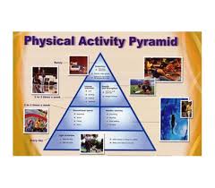 physical activity pyramid exercise chart dorm poster