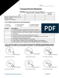 › cellular transport review worksheet answers. Handout Cell Transport Review Worksheet Doc Osmosis Life Sciences