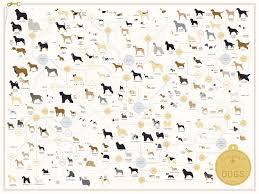 Fascinating Chart 181 Dogs Breeds On One Poster Orvis News