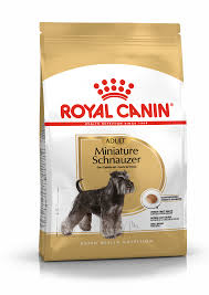 The miniature poodle is a breed with an extensive history, and it's been used for centuries to hunt waterfowl.no one is entirely certain where these dogs originated, but many believe that the breed originated in germany. Miniature Schnauzer Puppy Dry Royal Canin