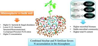 See spelling differences) is any material of natural or synthetic origin that is applied to soil or to plant tissues to supply plant nutrients. Combined Application Of Biochar And Nitrogen Fertilizer Benefits Nitrogen Retention In The Rhizosphere Of Soybean By Increasing Microbial Biomass But Not Altering Microbial Community Structure Sciencedirect