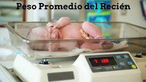 Peso Del Recien Nacido Youtube