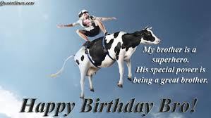 We did not find results for: Funny Birthday Quotes For Brother Quoteslines