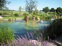 Achieve Beautiful Healthy And Blue Water With Organic Pond Dyes And Products Www Organicpond Com Naturschwimmbader Im Freien Diy Schwimmbad