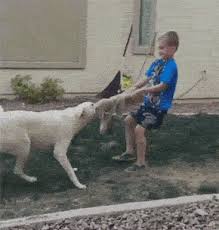 Https Encrypted Tbn0 Gstatic Com Images Q Tbn And9gcsa77am4tcala5jx33jv Cjzezqzrwdrnbjwq Usqp Cau