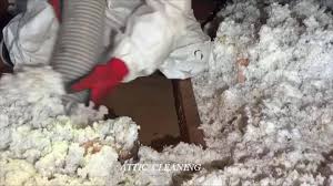 Your local attic crawl space cleaning & insulation. American Attic Insulation Pest Control Home Facebook