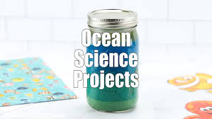 Stem is an acronym for science, technology, engineering, and math. Ocean Science Activities For Preschoolers And Beyond Little Bins For Little Hands