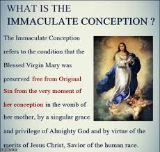 Happy Feast Of The Immaculate Conception Imgflip