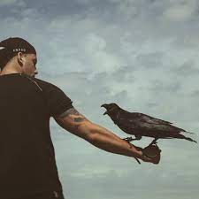Meine seele war so schwarz wie jede feder deiner flügel. 43 Raf Camora Ideen Strassenbande 187 Strassenbande Deutsch Rap