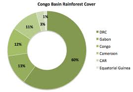 Ironically there is no bridge across to connect these two big capital cities. Deforestation Rate Falls In Congo Basin Countries