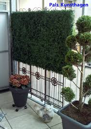 Kunstbuxus Buxus In 2020 Buxus Plants Outdoor