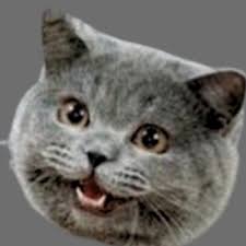 Image result for i can has cheezburger