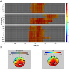 Can anyone tell me or put a link in. Semantic Congruent Audiovisual Integration During The Encoding Stage Of Working Memory An Erp And Sloreta Study Scientific Reports