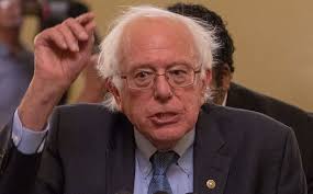 Image result for bernie sanders