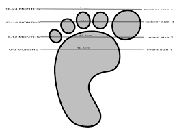 Baby Shoe Size Guide Clip Art At Clker Com Vector Clip Art
