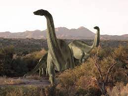Maybe you would like to learn more about one of these? A Complete List Of Every Dinosaur