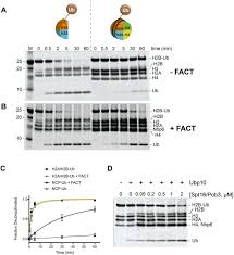 Passing grade ini akan terus berubah tiap tahunnya disebuah ptn, termasuk dalam hal ini ub. Fact And Ubp10 Collaborate To Modulate H2b Deubiquitination And Nucleosome Dynamics Biorxiv