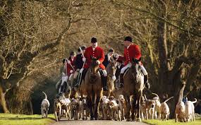 Foxhunting | History, Rules ...