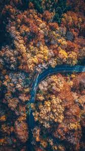 Autumn Nature Road Aerial View Iphone Wallpaper Free Getintopik In 2020 Wallpaper Free Download Aerial View Live Wallpapers