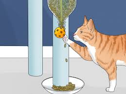 Fill the bottle about 1/2 to 3/4 full with dry food and place it on the floor for your cat. How To Make A Homemade Puzzle Feeder For A Cat 12 Steps
