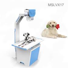 It remains an evacuated glass envelope across the ends of which a very high electrical potential is applied. Veterinary X Ray Dog Cat Cost Mslvx17